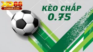 Kèo chấp 0.75 và bí kíp chơi cá độ bóng đá XO88 dễ thắng