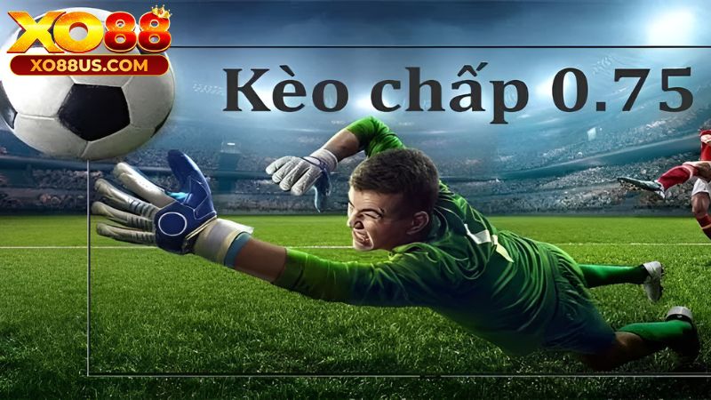 Tham khảo ví dụ kèo chấp 0.75 giữa Arminia Bielefeld và VfL Wolfsburg giúp tân thủ hình dung dễ hơn. Tham khảo ví dụ kèo chấp 0.75 giữa Arminia Bielefeld và VfL Wolfsburg giúp tân thủ hình dung dễ hơn.