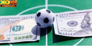 Kèo chấp 0.5 là gì? Cách chơi và kinh nghiệm chơi có 102