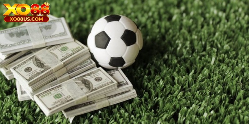 Kèo chấp 0.5 chỉ có 2 khả năng xuất hiện là thắng hoặc thua Kèo chấp 0.5 chỉ có 2 khả năng xuất hiện là thắng hoặc thua