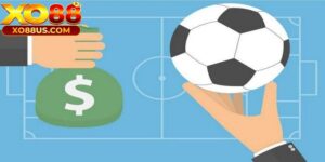 Kèo chấp 0 là gì? Cách đọc kèo và chiến thuật chơi bất bại