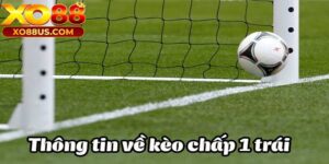 Kèo chấp 1 là gì? Cách đọc kèo, tính tiền, mẹo cược hay