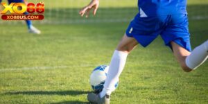 Kèo Rung Là Gì? “Bổ Não” Với Kiến Thức Mới Mẻ Siêu Hay