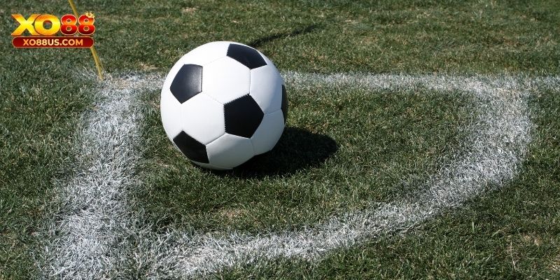 Nắm rõ bí quyết giúp người chơi tự tin dự đoán chuẩn xác Nắm rõ bí quyết giúp người chơi tự tin dự đoán chuẩn xác