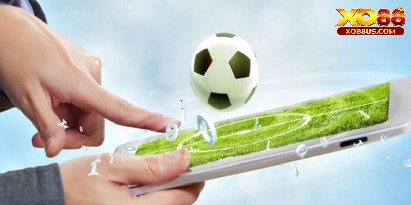 Tham gia vào diễn đàn cá độ bóng đá học hỏi người chơi có kinh nghiệm