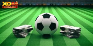 Tỷ Lệ Kèo Bóng Đá Châu Âu Xo88 - Cược Hay, Thắng Lớn