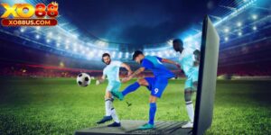 Tỷ Lệ Kèo Châu Á - Cách Đọc Và Phương Pháp Đầu Tư Chất Lượng