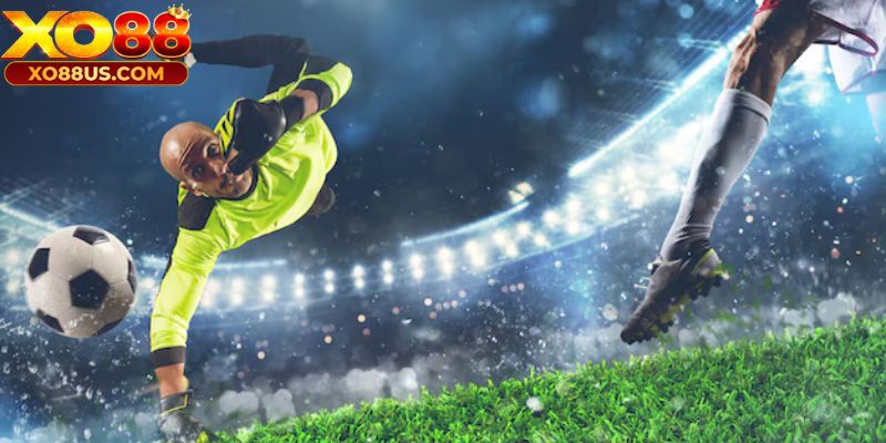 Cách đọc kèo đồng banh Cách đọc kèo đồng banh